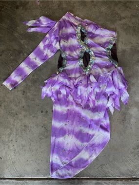 Purple Crystal Embellished Dance Costume